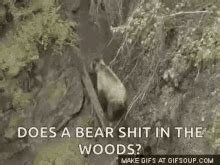does a bear shit in the woods .